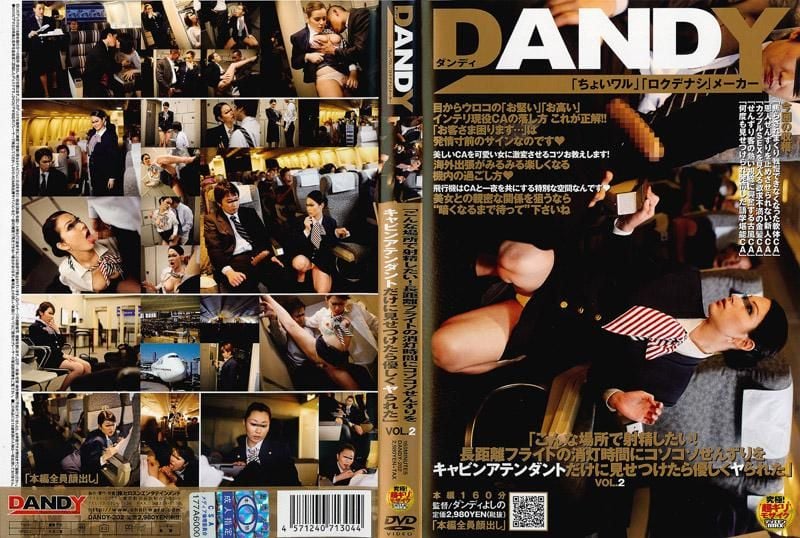 DANDY-202 「想在这种地方射精！在长距离航程的关灯时间偷偷打枪被空姐看到，没想到她竟然愿意跟我来一炮」 VOL.2