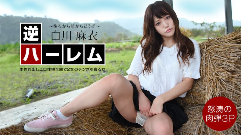 1pondo_040222_001 逆後宮 ～請自後方到前方！～ 白川麻衣